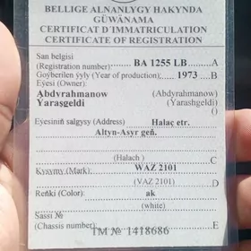 Teh pasport