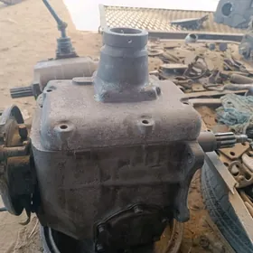 53 karopga