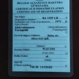 teh pasport