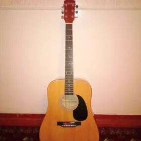 Akostika gitara