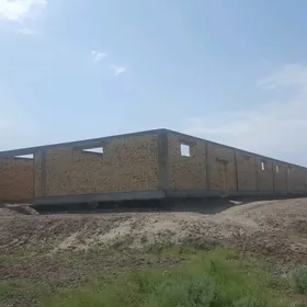Maldarçylyk ferma