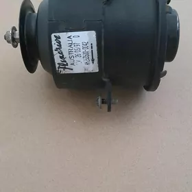 motorcik lopusynky