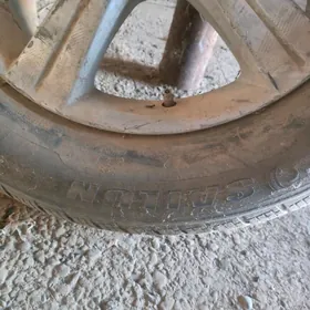 sinena diska bln pakryshka
