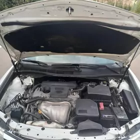 Toyota Camry 2013