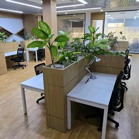 Коворкинг/Офисы/Митинг румы