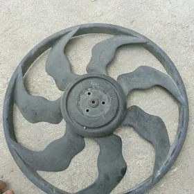sonata weltelyator
