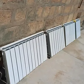 atapileni tazeje 1 ay ulanyp
