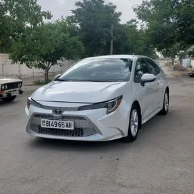 Toyota Corolla 2022
