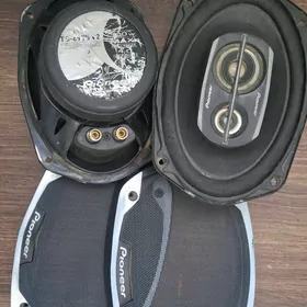 pioneer nikil