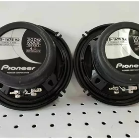 pioneer nikil