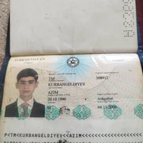 Pasport tapdyk