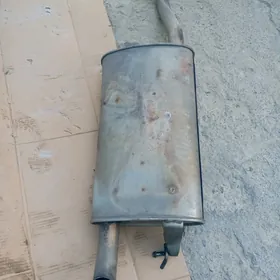 tayota karollan gülşitiry