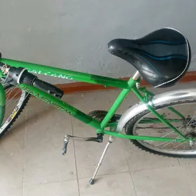 TURKMENISTAN. TIGIR.