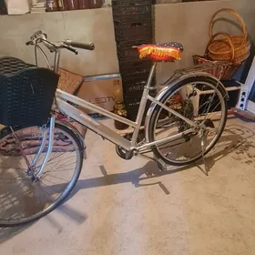 Yaposka tigir 26