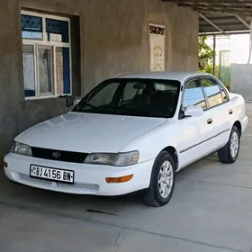 Toyota Corolla 1995