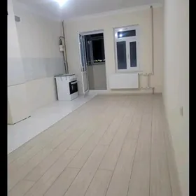 Элитка