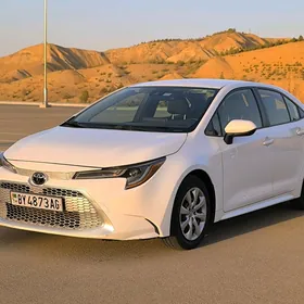 Toyota Corolla 2019
