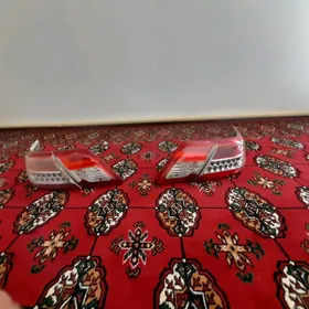 stopnik