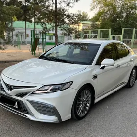 Toyota Camry 2020