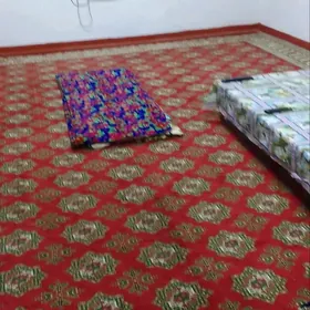 Участка жай