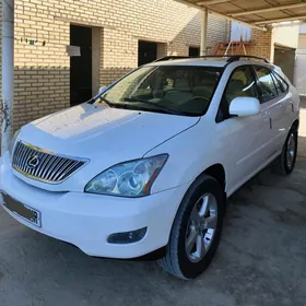 Lexus RX 330 2006