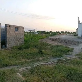 coganly