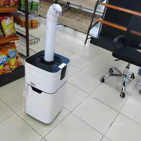 market harytlary