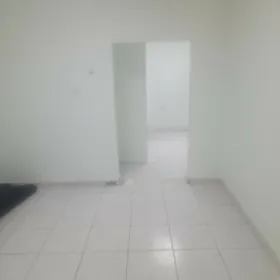 Arenda 5kom podwal