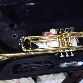 trombon trubo