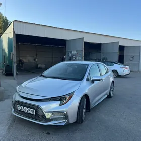Toyota Corolla 2020