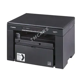Printer 3010