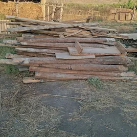 Tagta çorny pürüs
