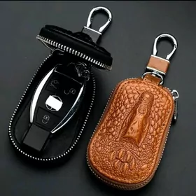 ACAR CEHOL LACOSTA