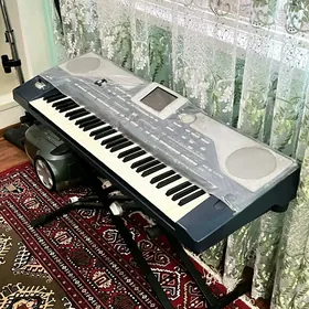 KORG PA800