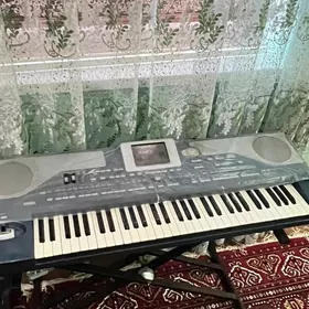 ritimblok Korg pa800