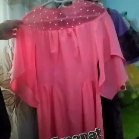 koynekler