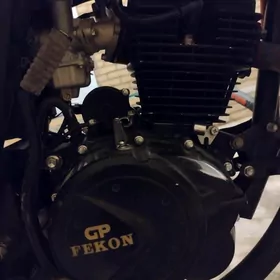 GP fekon1.5