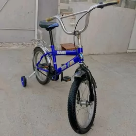 tigir 16 lyk