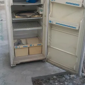 holadinik  orsyñky dowik