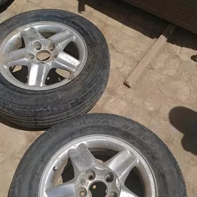 disga 15 opel