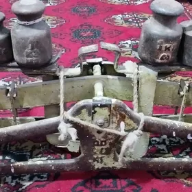 Терези россиски
