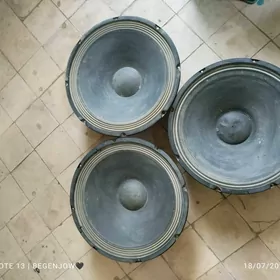dinamik kalonka 15lik