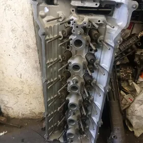 Goşawanus galowka BMW