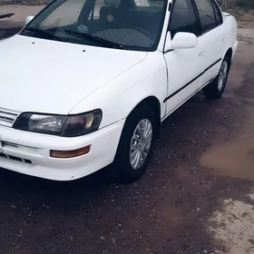 Toyota Corolla 1996