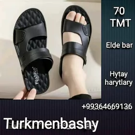 patdyk basanosga