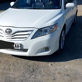 Toyota Camry 2010