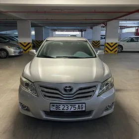 Toyota Camry 2010