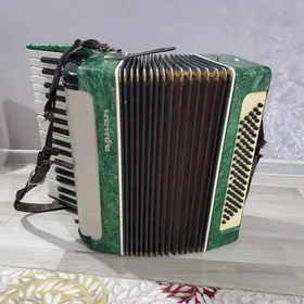 Akardeon