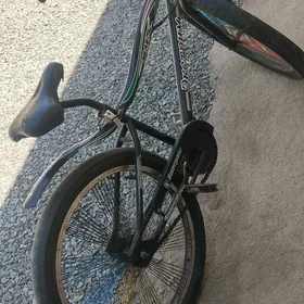 tigir duga ulsi abmen geçi bil