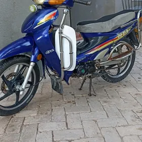 Fekon FK150-8G 2014